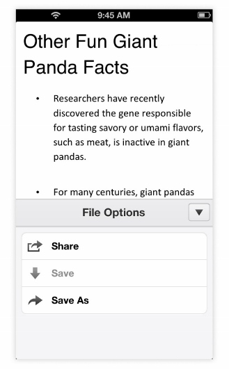 File options in mobile view